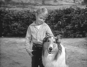 Timmy-Lassie